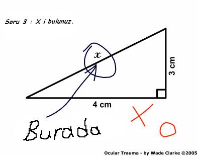 Karikatürler Buraya!