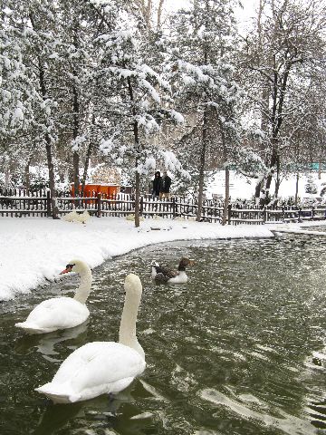 Kış mevsiminin güzelliği bir başka