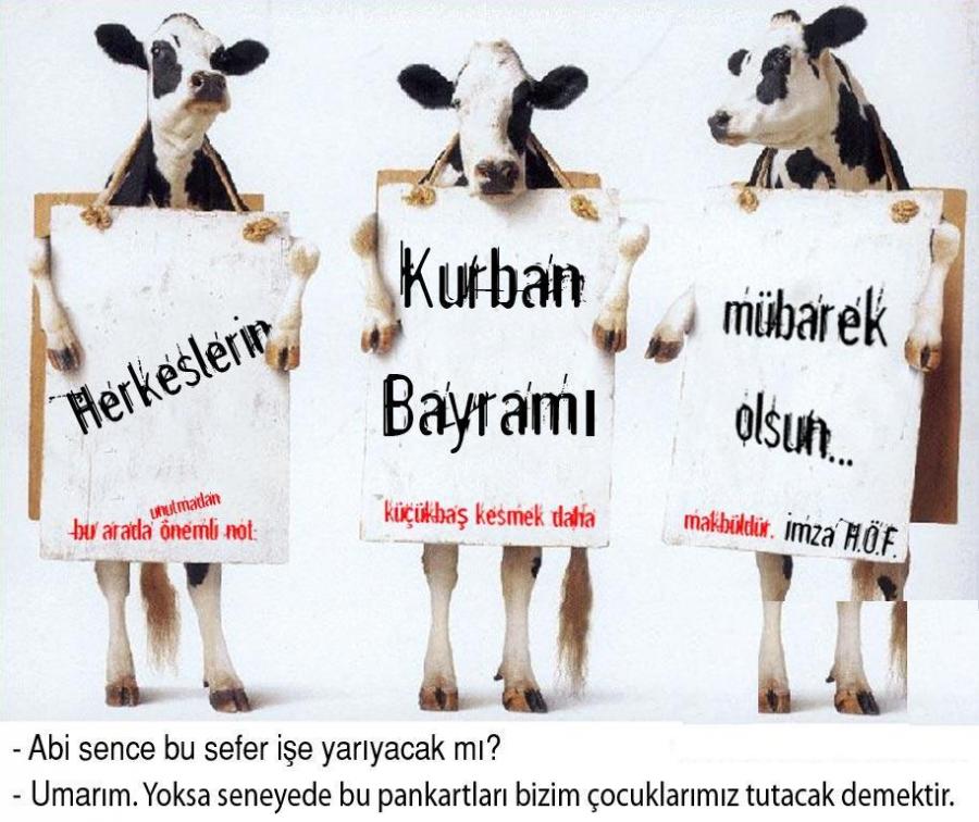 hadii buyrun yarışma başladı...!!!