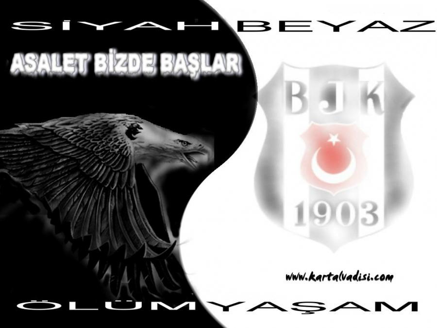 Besiktas i sayalim