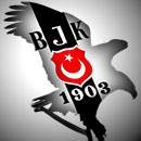 Besiktas i sayalim