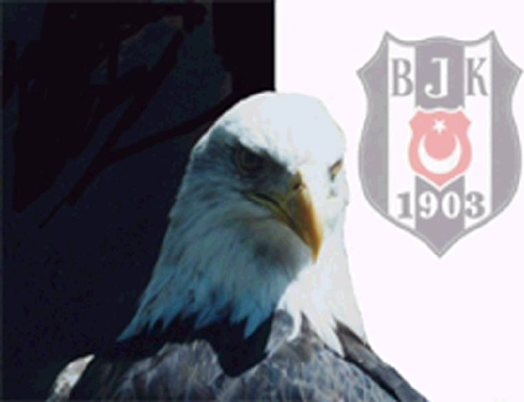 Besiktas i sayalim