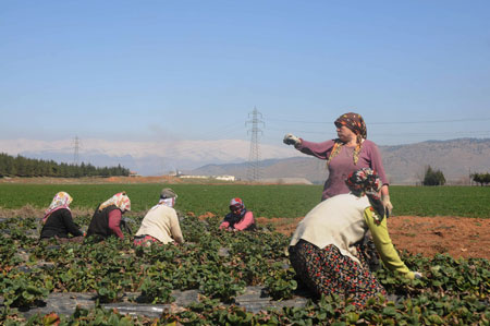 Kahramanmaraşlı Patroniçe Hatice