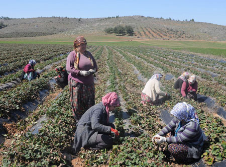 Kahramanmaraşlı Patroniçe Hatice