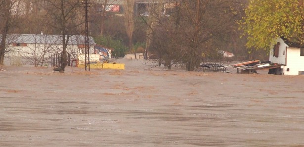 Şanlıurfa'da en güzel acılar yarıştı! İZLE 