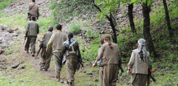 Şırnak'tan gelen PKK fotoğrafı şok etti 