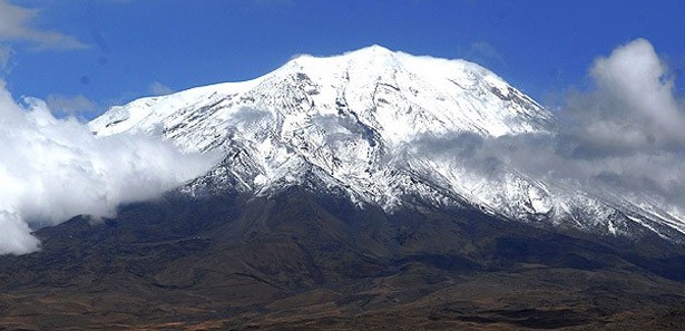 Ağrı Dağı'ndaki bitkiler ilaç olacak 