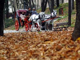 Büyükşehir yıkım haberini düzeltti 