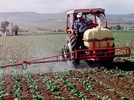 Çiftçilerin ilk destek ödemelerine başlandı 