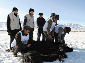 Güneşin ilk doğduğu yerde Kurban kesecekler 