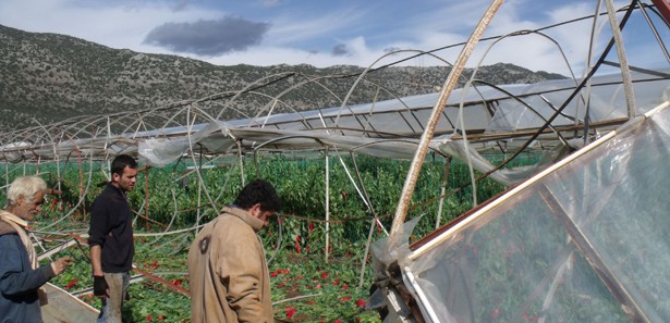 Hortum, Demre'de seraları yıktı 