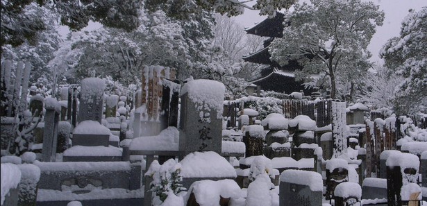 Japonya'da kar 2 metre oldu 8 kişi öldü 