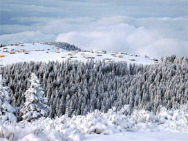 Karadeniz'de 35 yıl sonra bir ilk gerçekleşti 