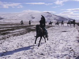 Kars'ta cirit müsabakaları nefes kesti 