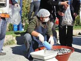 Sevgililer gününde ücretsiz hamsi! 