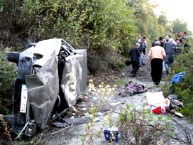 Sürücüyü arı soktu yol kana bulandı 