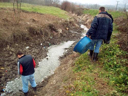 Binlerce balık telef oldu /