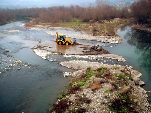 Binlerce balık telef oldu /