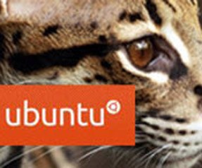 Yeni Ubuntu 