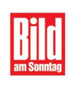 Bild'den 'Almanca resmi dil olsun' kampanyası