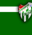 Bursaspor TV'den Trabzon'a özür