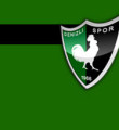 Denizlispor’un transfer yasağı kalktı