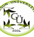 Giresun Üniversitesi rektörlüğüne atama