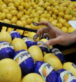 Limonda rekolte bolluğu fiyatları düşürdü