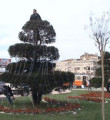 Taksim yılbaşı için süsleniyor