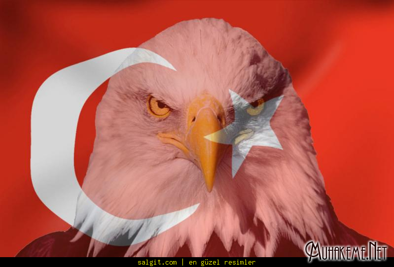 turk eagle